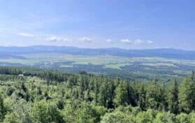 Panorama of World Alaikas